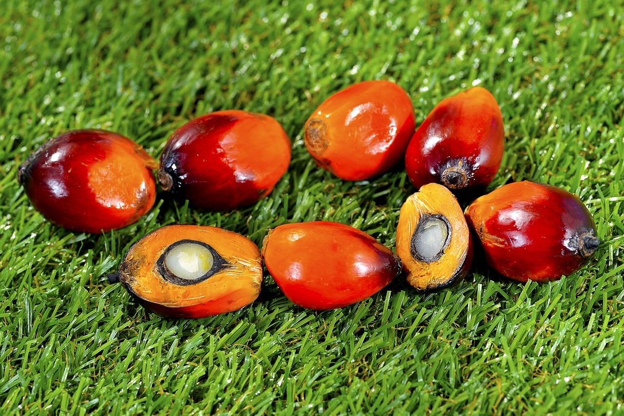 Amazing Benefits Of Red Palm Oil For Skin