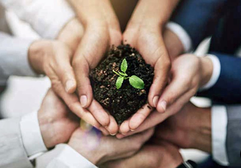 Why Do Companies Need To Support In Tree Planting Organizations?