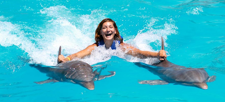 Great Experiences and Adventures with Dolphins and Comfortable Spa in Punta Cana