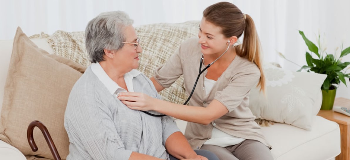 Unpacking the Multidimensional Healthcare Services in Nursing Homes